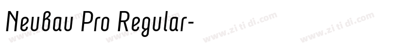 Neubau Pro Regular字体转换
